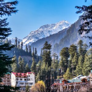 shimla manali tour package