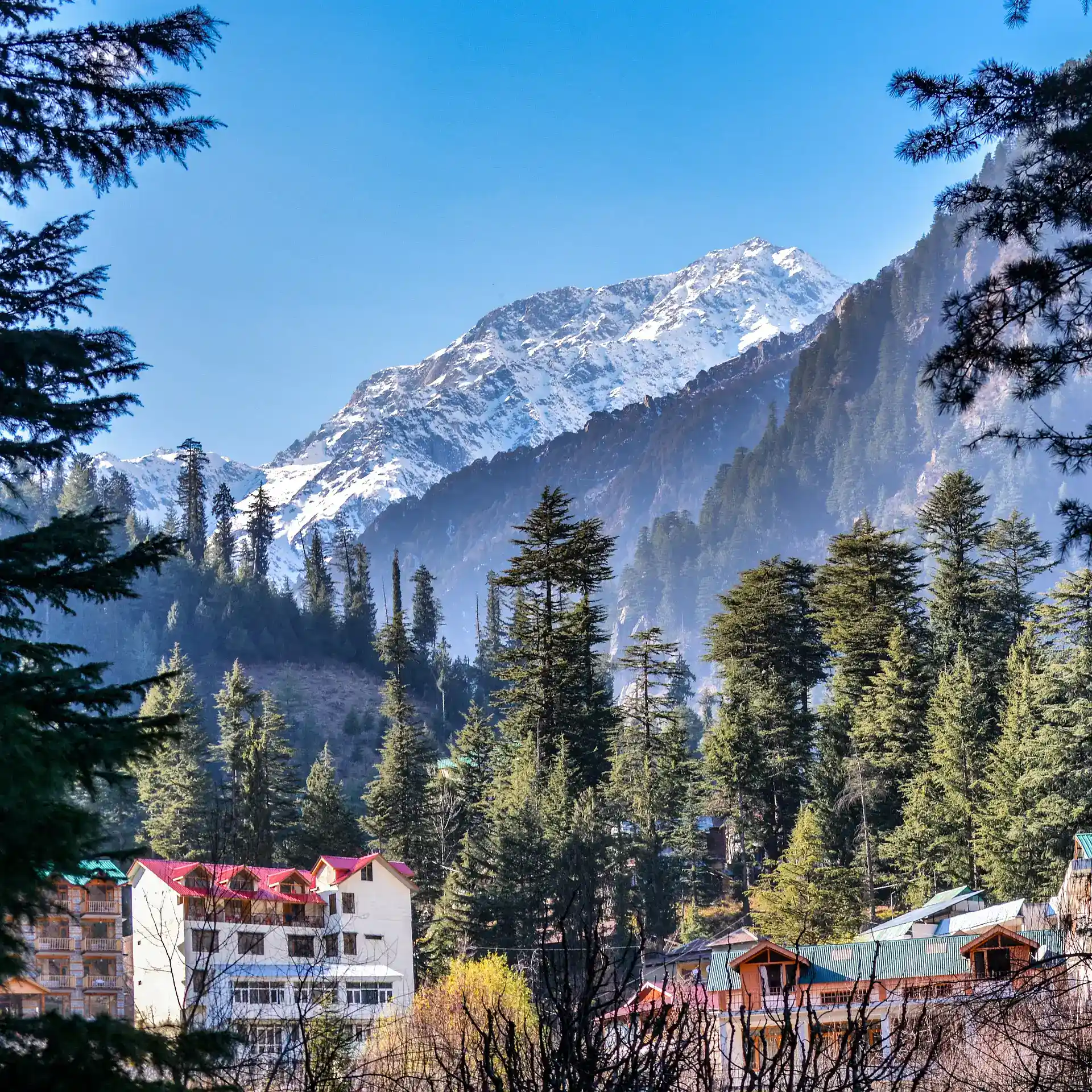 shimla manali tour package